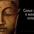 Мудрый Будда: мысли и изречения мудреца