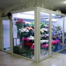 Прибыльный цветочный магазин – идея для бизнеса